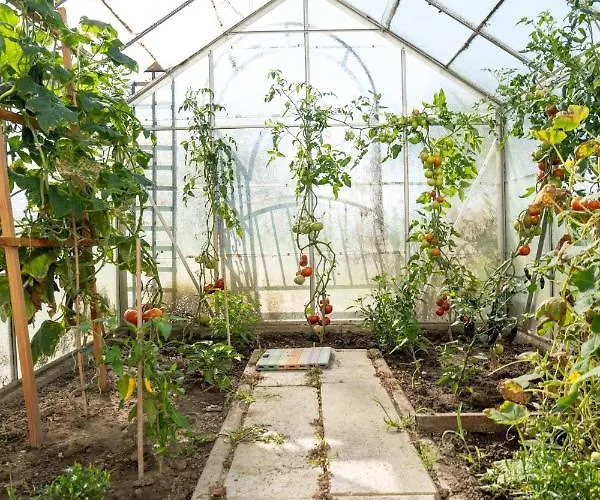 Im Idyll Chillout Апартаменты Хенгерсберг